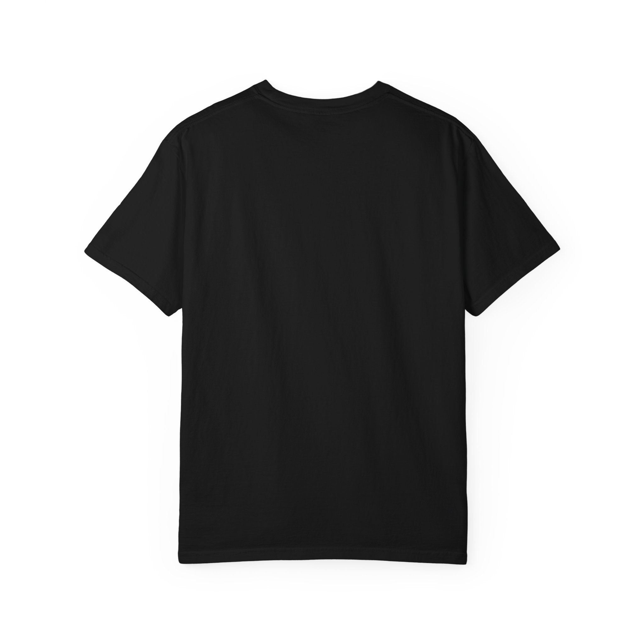 Raccoons and Mistakes Graphic T-Shirt