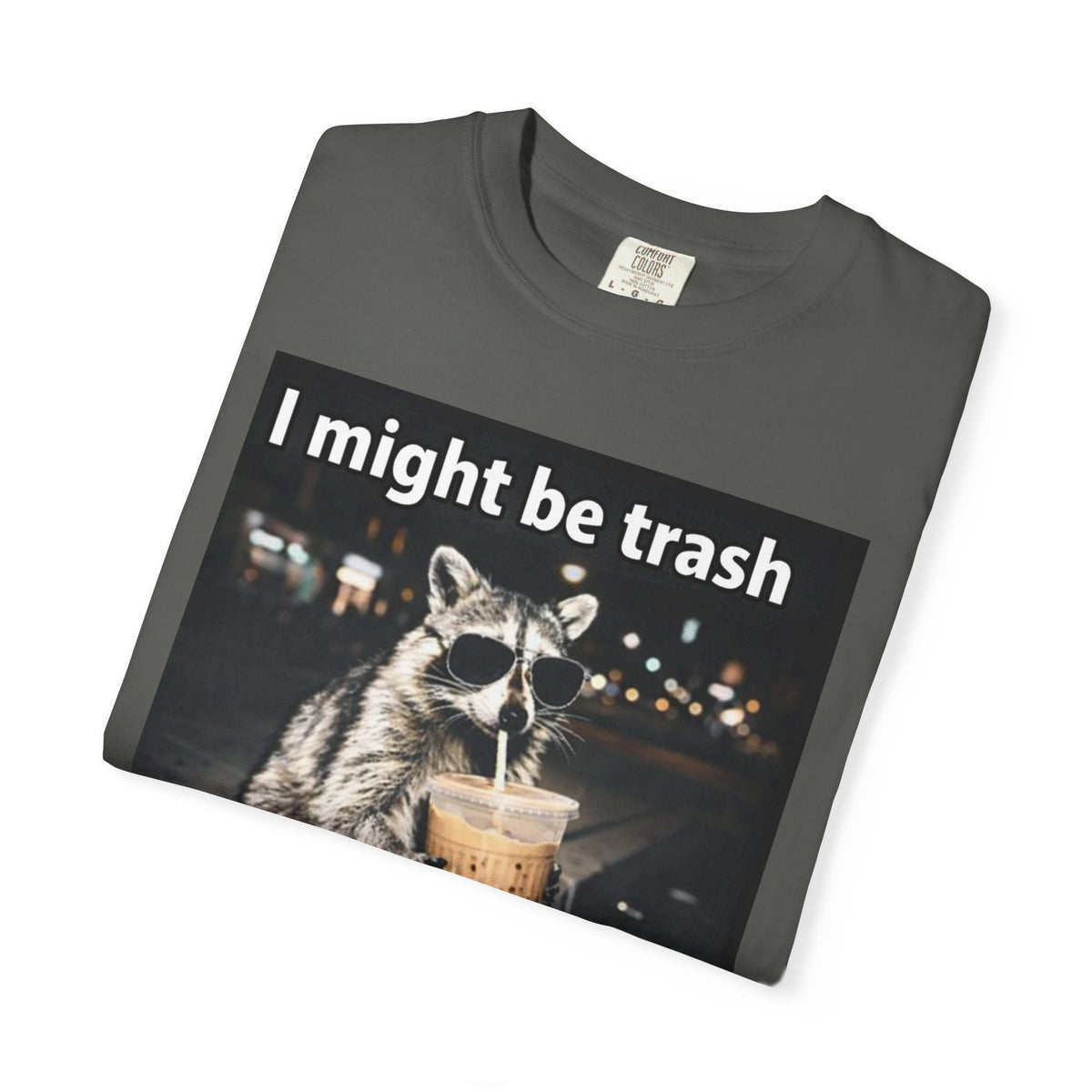 Raccoon I Might Be Trash Graphic Tee