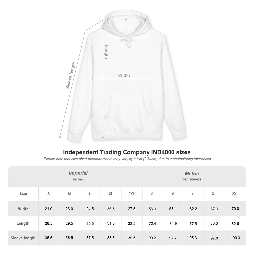 Lions Vintage Team Spirit Pullover