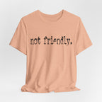 Not Friendly Graphic T‑Shirt