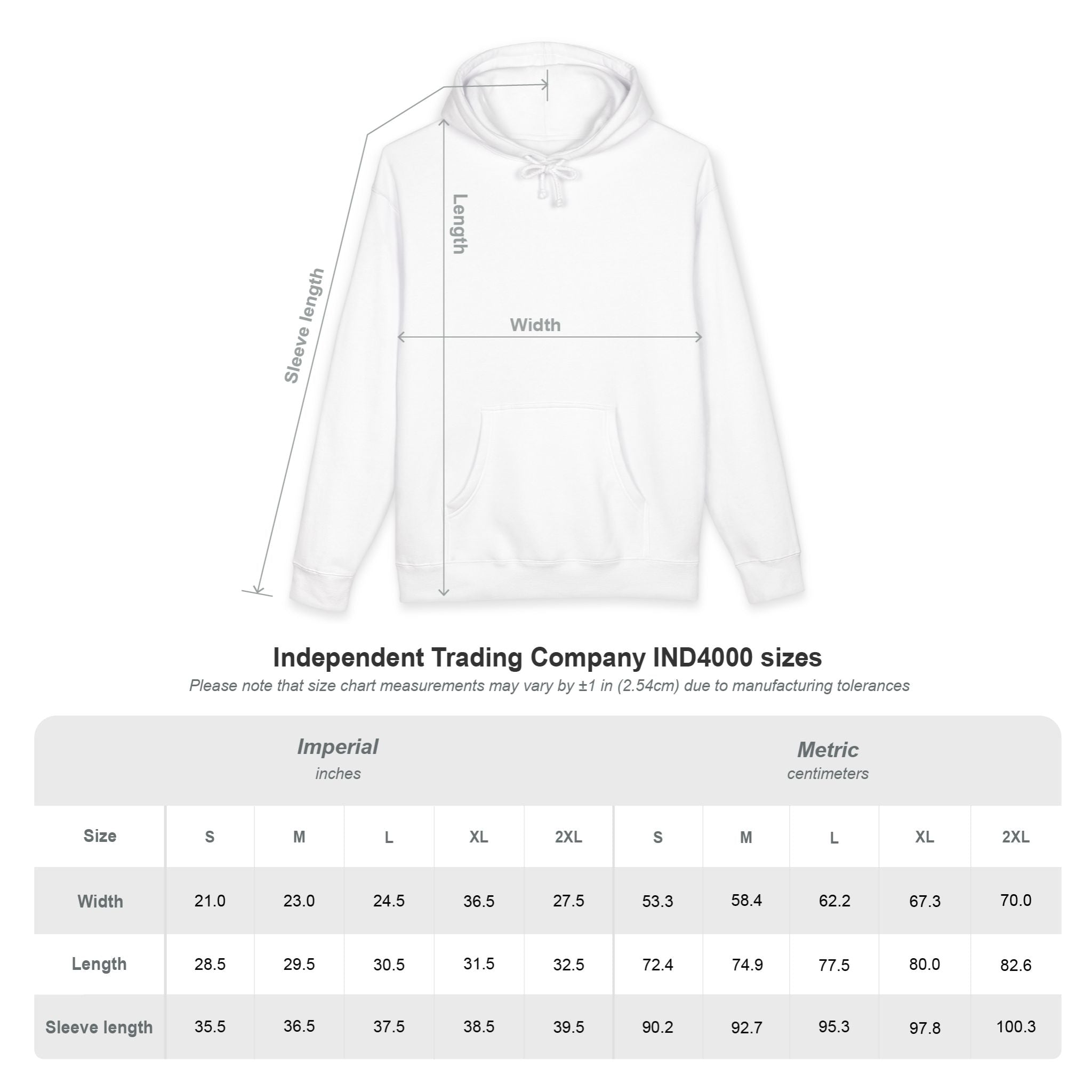 Lions Vintage Team Spirit Pullover