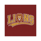 School Spirit Custom Vintage Car Magnet