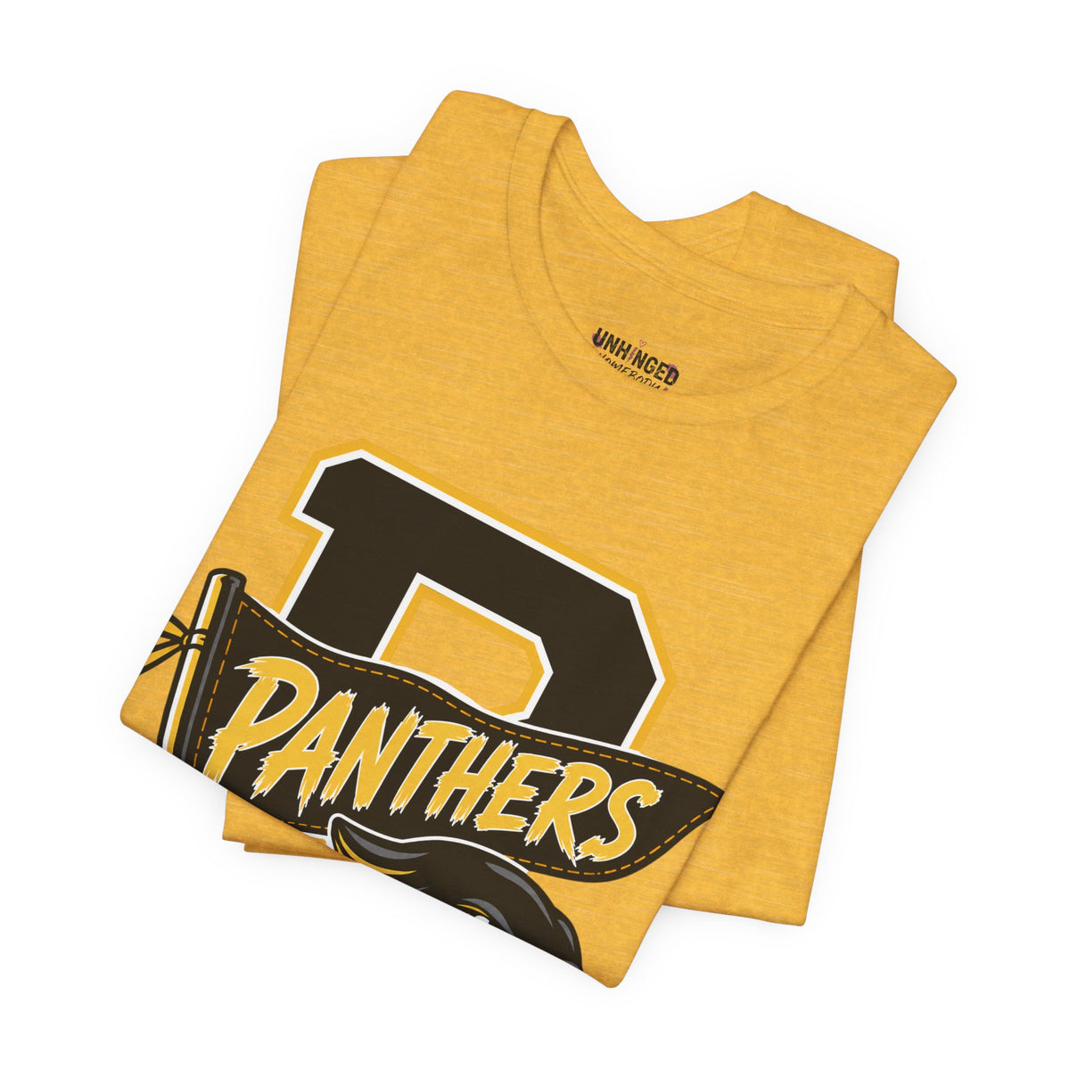 Panthers Vintage Letterman Tee