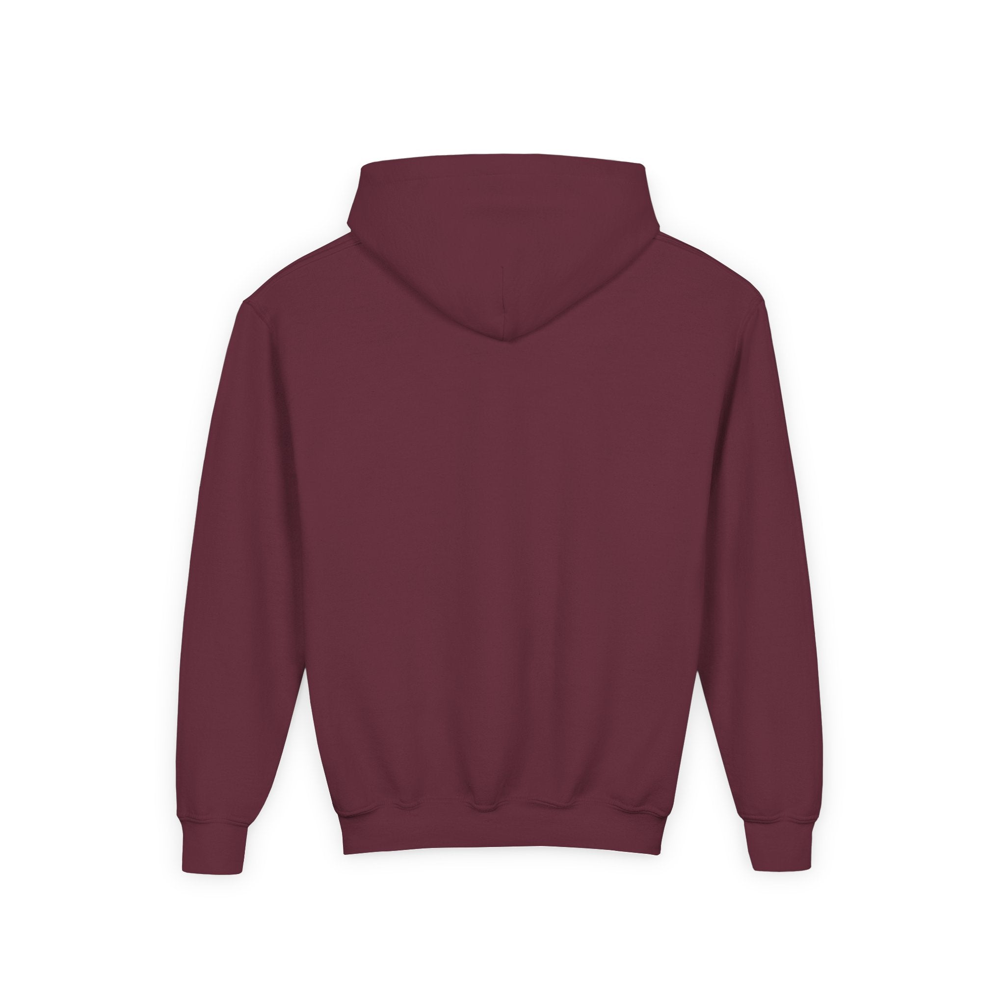 Youth Lions Hoodie