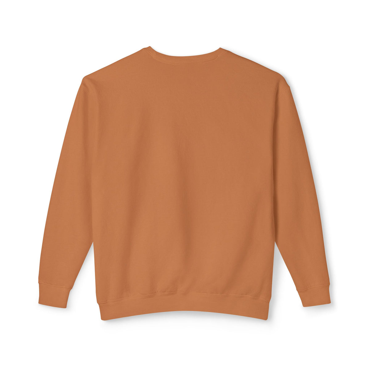 Be Kind to the Vet Staff Graphic Sweatshirt