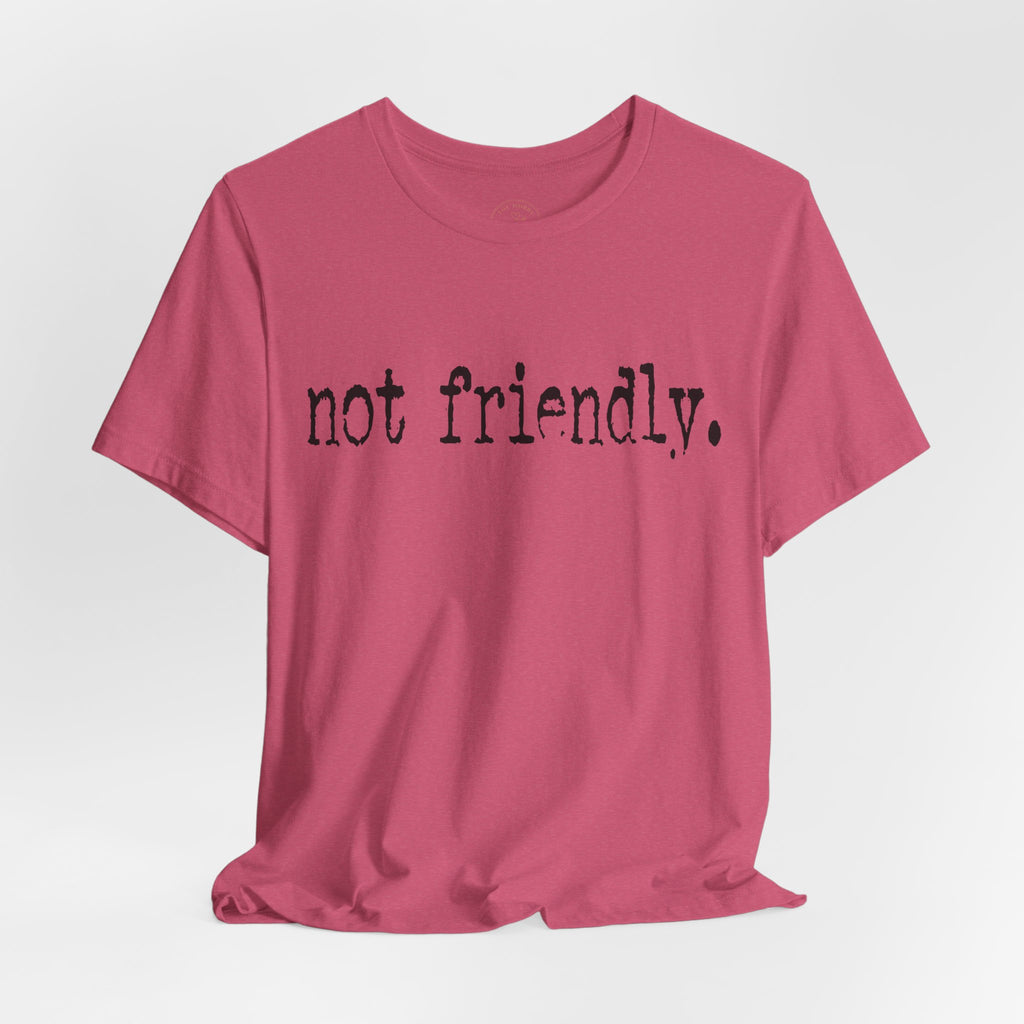 Not Friendly Graphic T‑Shirt