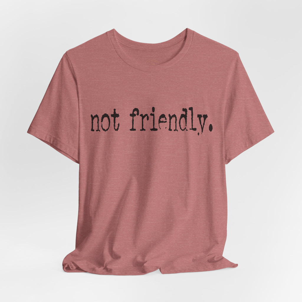 Not Friendly Graphic T‑Shirt