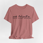 Not Friendly Graphic T‑Shirt