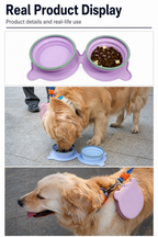 Collapsible Travel Double Pet Bowl