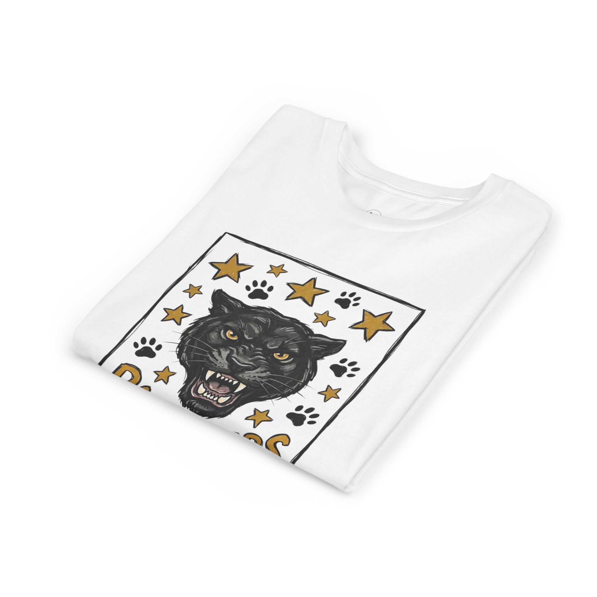 Panthers School Spirit Youth Tee