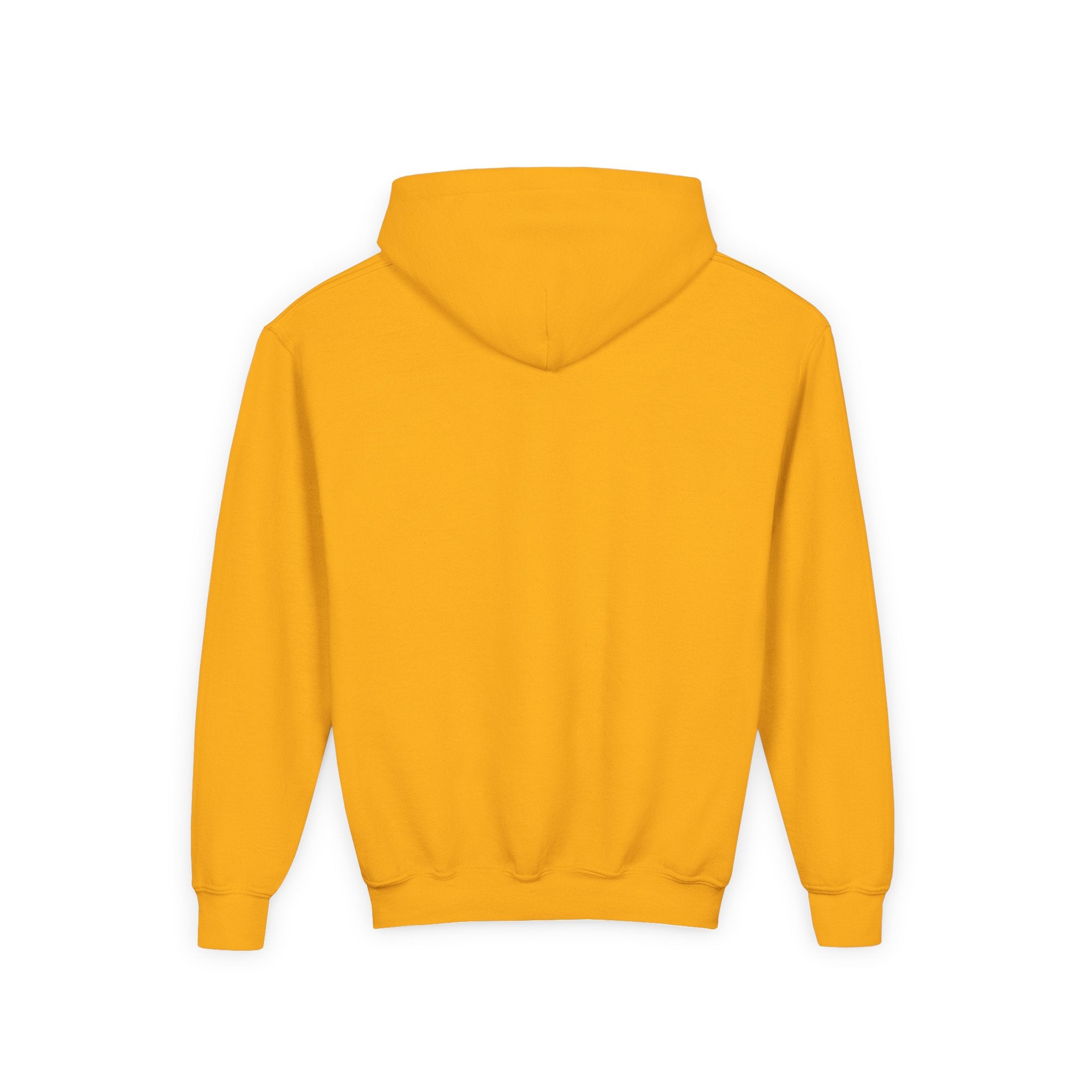 Youth Lions Hoodie
