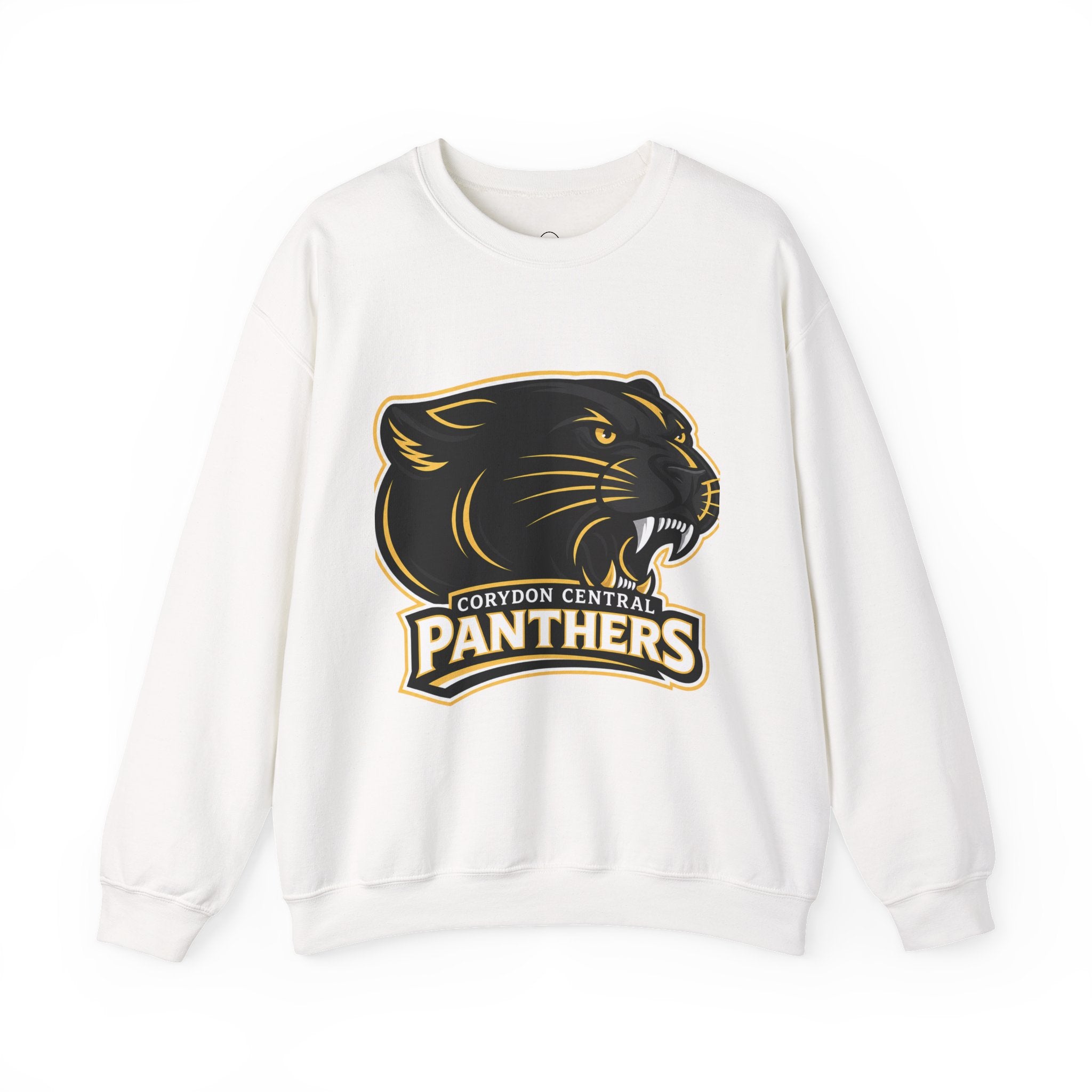 Panthers School Spirit Crewneck Sweatshirt