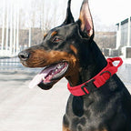 Military-Style Tactical Nylon Dog Collar and Leash Set