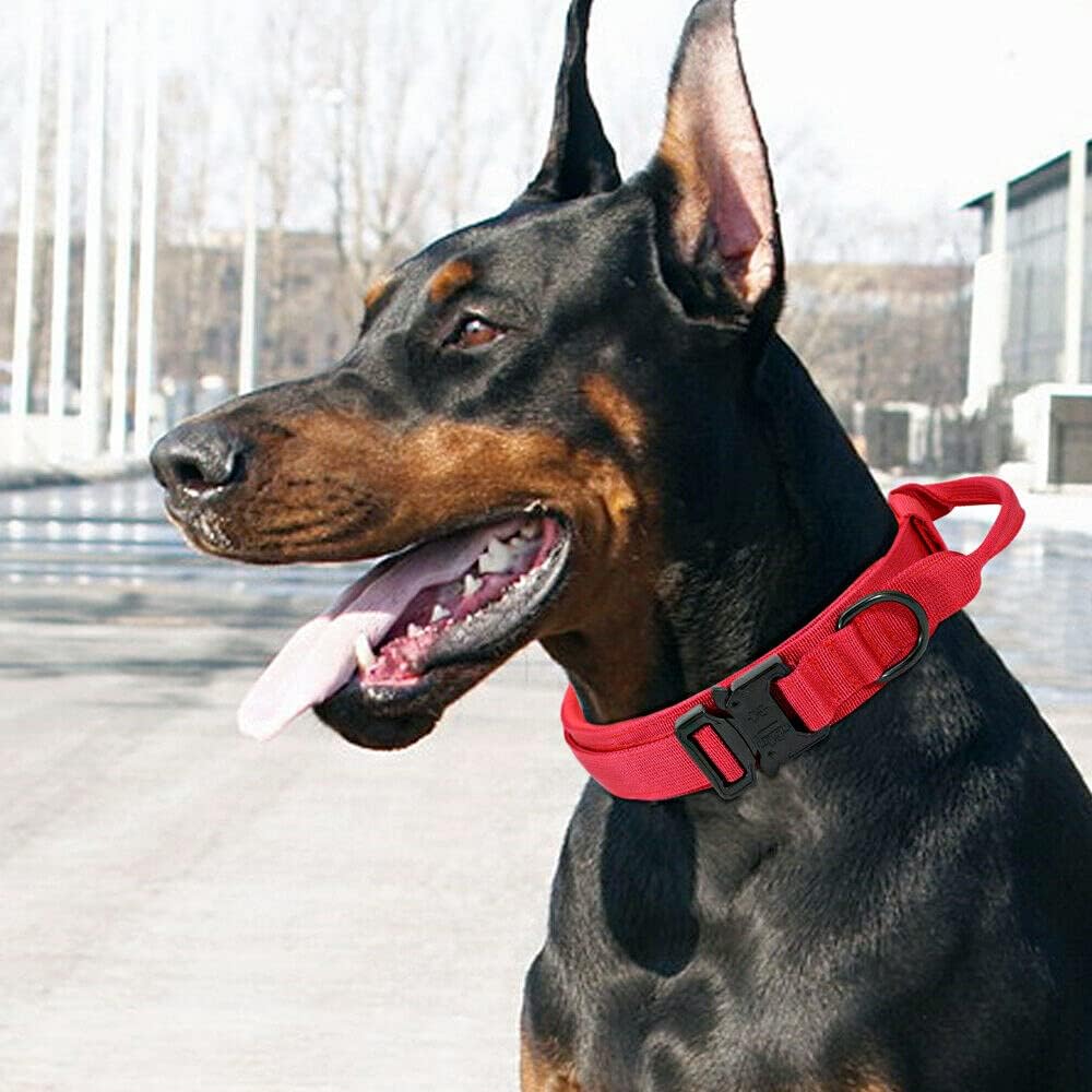 Military-Style Tactical Nylon Dog Collar and Leash Set