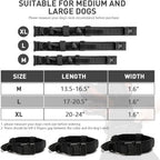 Military-Style Tactical Nylon Dog Collar and Leash Set