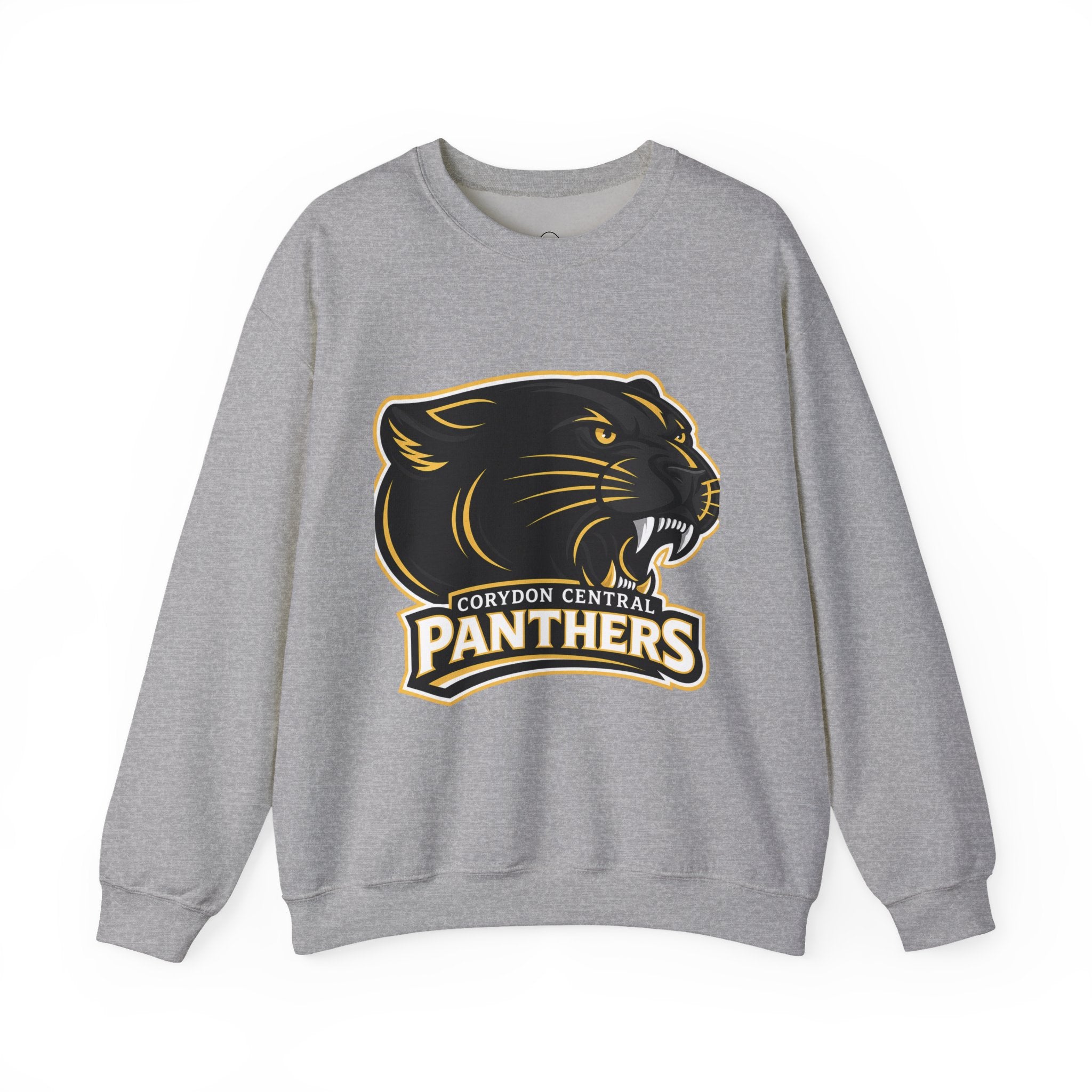 Panthers School Spirit Crewneck Sweatshirt