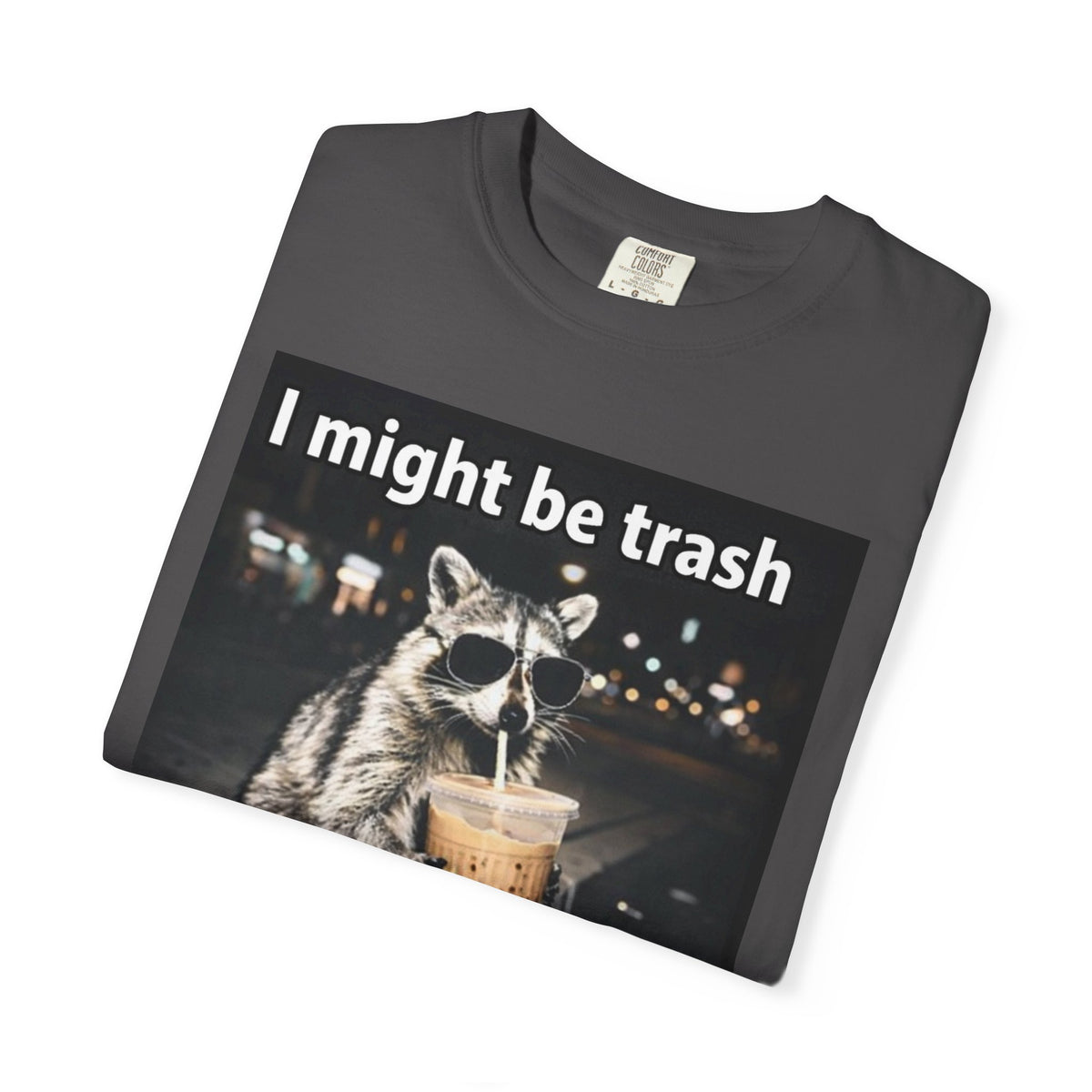 Raccoon I Might Be Trash Graphic Tee