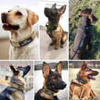 Military-Style Tactical Nylon Dog Collar and Leash Set