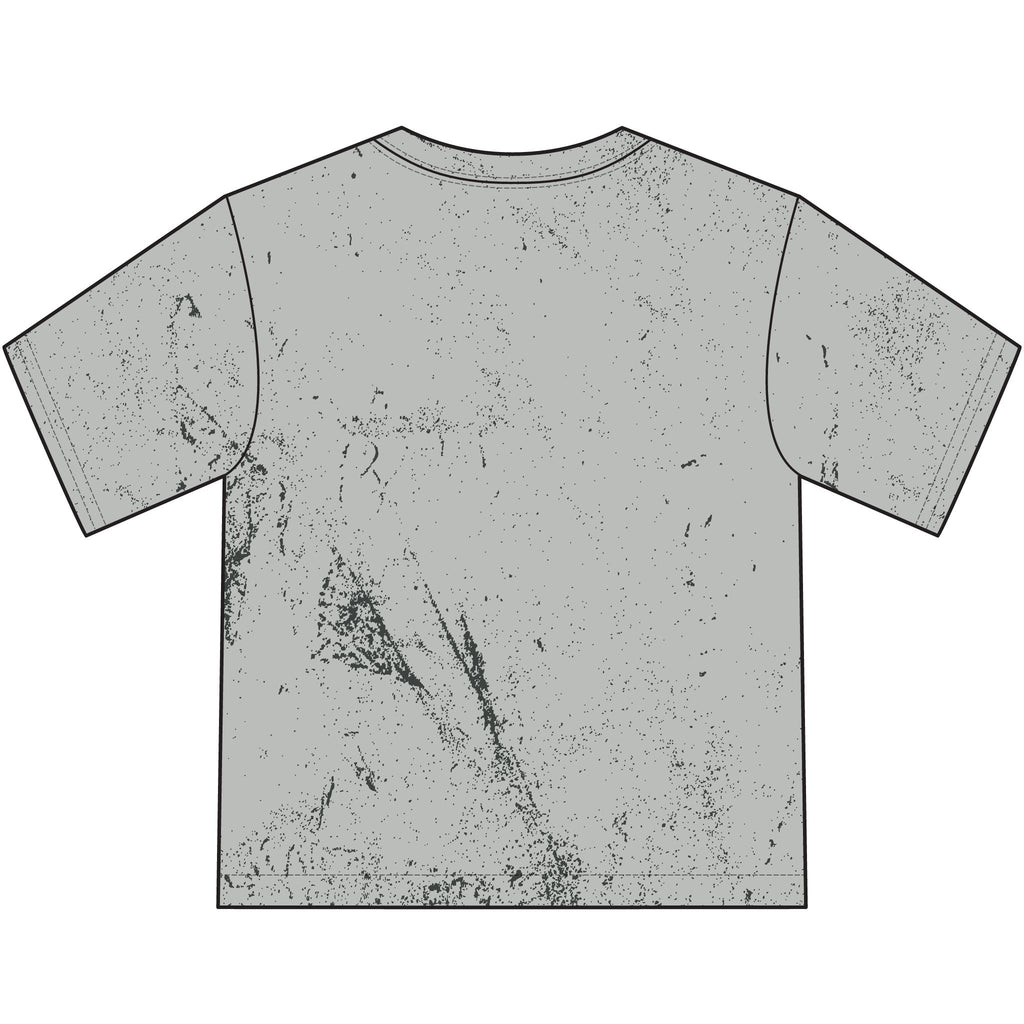 Lions Youth T-Shirt — Home of the Lions School Spirit Tee