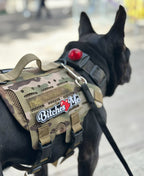 Bitches Love Me Morale Patch