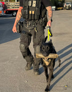 K9R - Kiloniner TUG-N-TRAIN Tug Toy