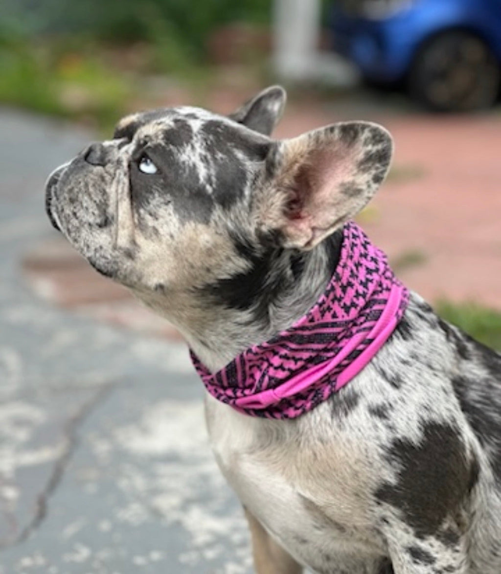 Cooling Shemagh Scarf