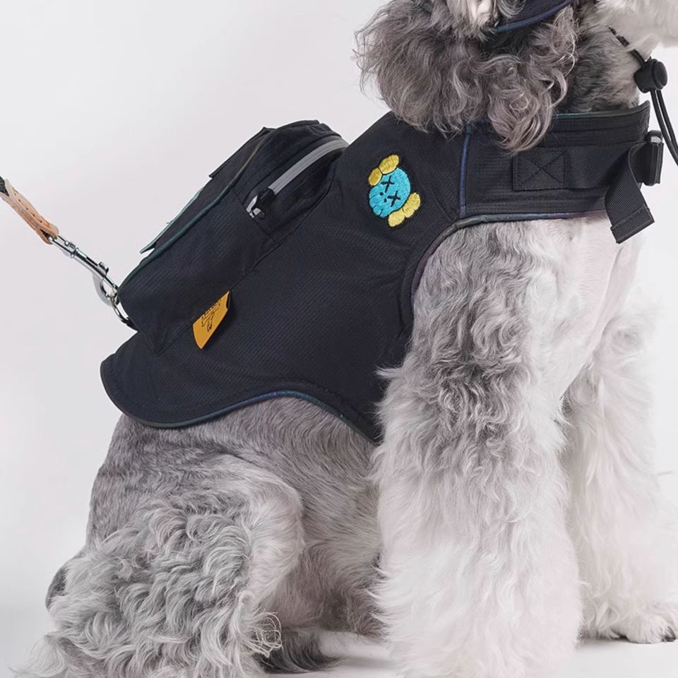 Backpack Harness and Hat Set (Black Only)
