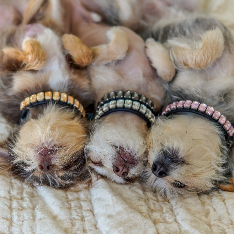 Boutique Rhinestone Dog Collars