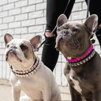 Boutique Rhinestone Dog Collars