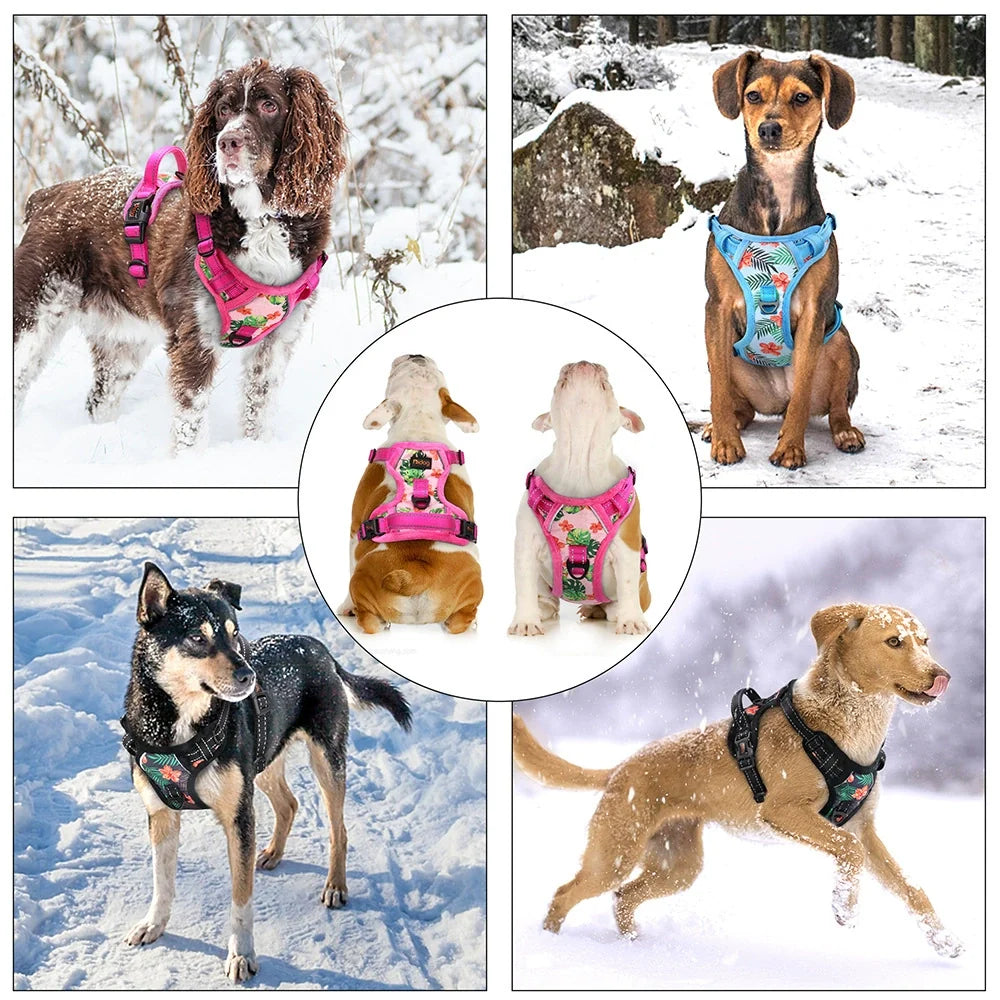Reflective Padded Dog Harness + Leash Set with Floral Print