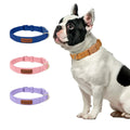 Suede Dog Collar with Buckle & D-Ring (Multiple Colors) + leash set
