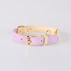 2-Tone Leather Dog Collar – Adjustable & Stylish
