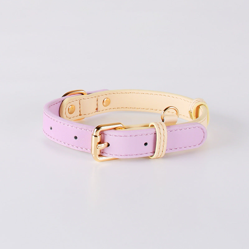 2-Tone Leather Dog Collar – Adjustable & Stylish