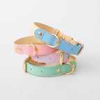 2-Tone Leather Dog Collar – Adjustable & Stylish