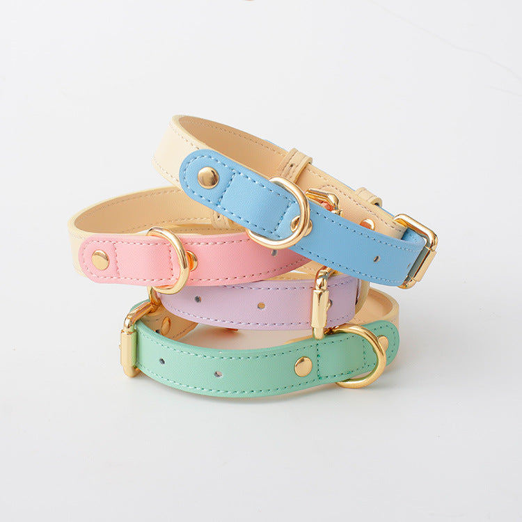 2-Tone Leather Dog Collar – Adjustable & Stylish