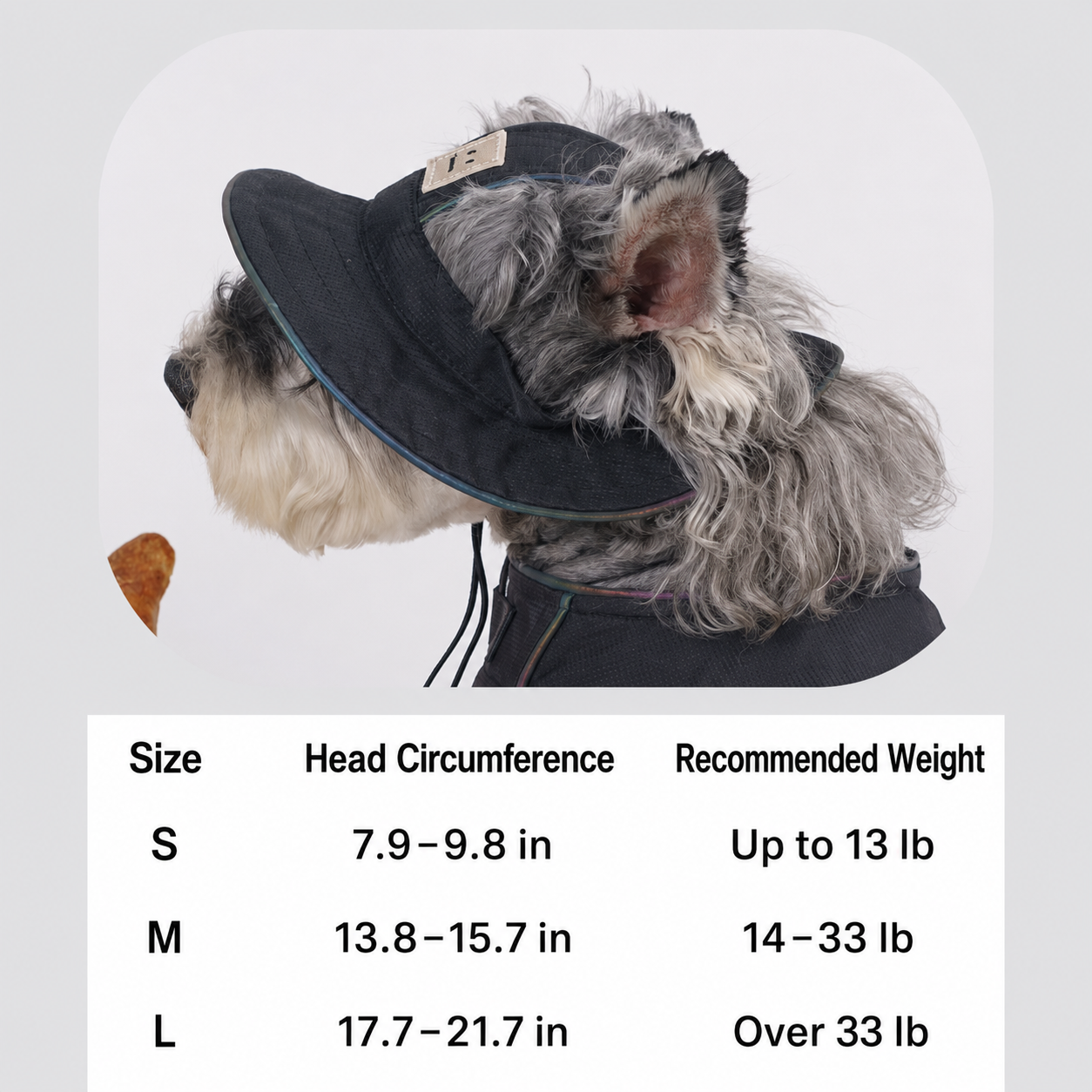 Backpack Harness and Hat Set (Black Only)